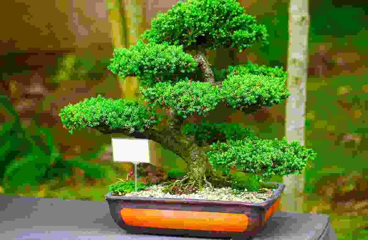 blog13