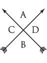 brand6