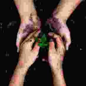 img-cap-img9