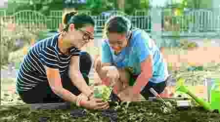 gardening-img1